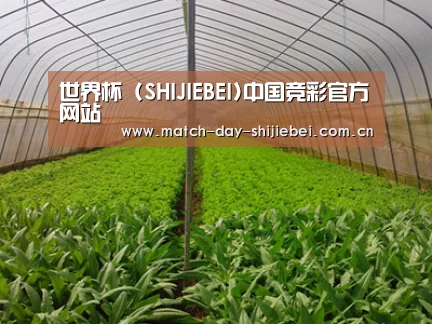 种植基地四