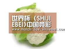 产品名称九