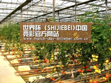 种植基地二