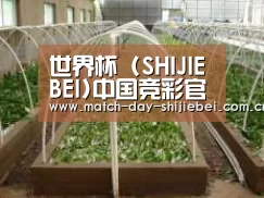环境展示五