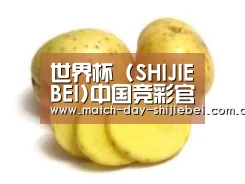 产品名称三