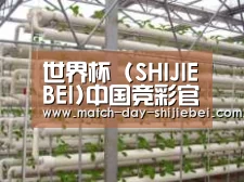 环境展示六