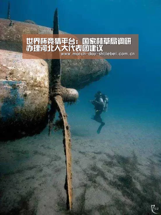 世界杯竞猜平台