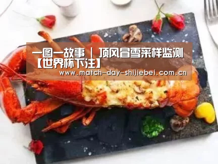 一图一故事 | 顶风冒雪采样监测【世界杯下注】(图3) 世界杯买球