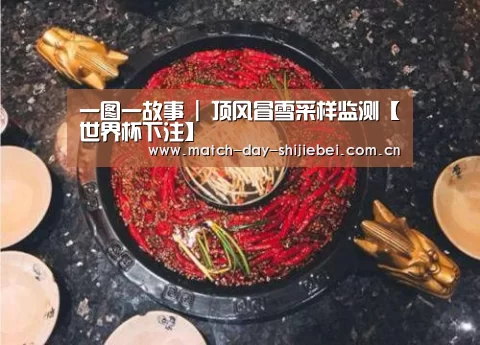 一图一故事 | 顶风冒雪采样监测【世界杯下注】(图4) 世界杯买球